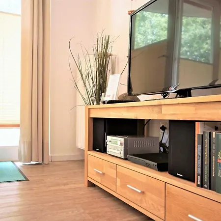 Moewennest Mit Terra