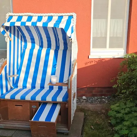 Moewennest Mit Terra