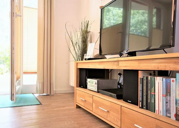 Moewennest Mit Terra