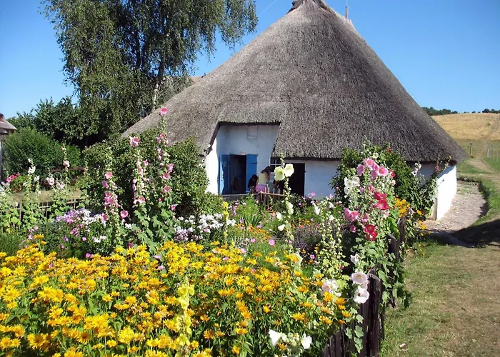 公寓 Moewennest Mit Terra 密德海根