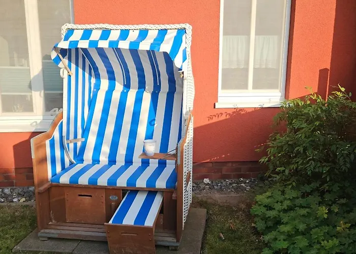 Moewennest Mit Terra